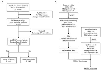 Machine Learning Approach to Predict Positive Screening of Methicillin-Resistant Staphylococcus aureus During Mechanical Ventilation Using Synthetic Dataset From MIMIC-IV Database